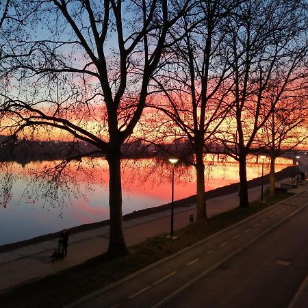 Apartment Marina Slavonski Brod Eksteriør bilde